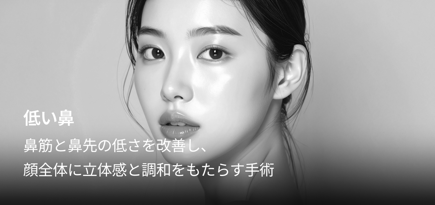 콧대와 코끝의 낮은 높이를 개선해 얼굴의 입체감과 조화를 높이는 수술