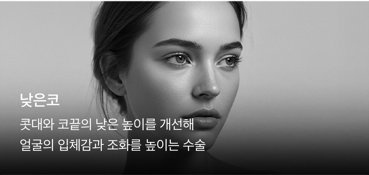 콧대와 코끝의 낮은 높이를 개선해 얼굴의 입체감과 조화를 높이는 수술